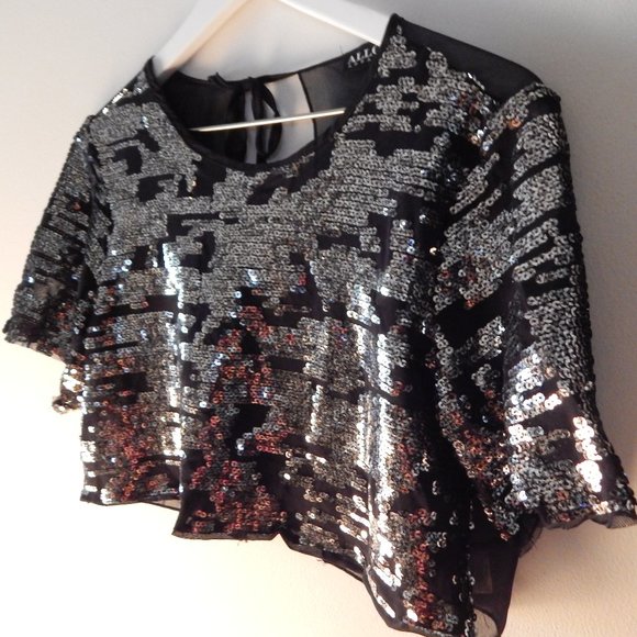 Silver Sequined Sheer Top - Picture 2 of 5